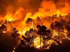 Incendios forestales de 2026: las nuevas medidas laborales y sociales que protegen a las personas trabajadoras Incendio forestal de gran intensidad con un amplio frente de llamas que avanza entre una masa de pinos durante la noche, generando una densa columna de humo y un resplandor anaranjado